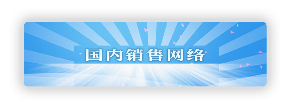 國(guó)內(nèi)銷(xiāo)售網(wǎng)絡(luò)